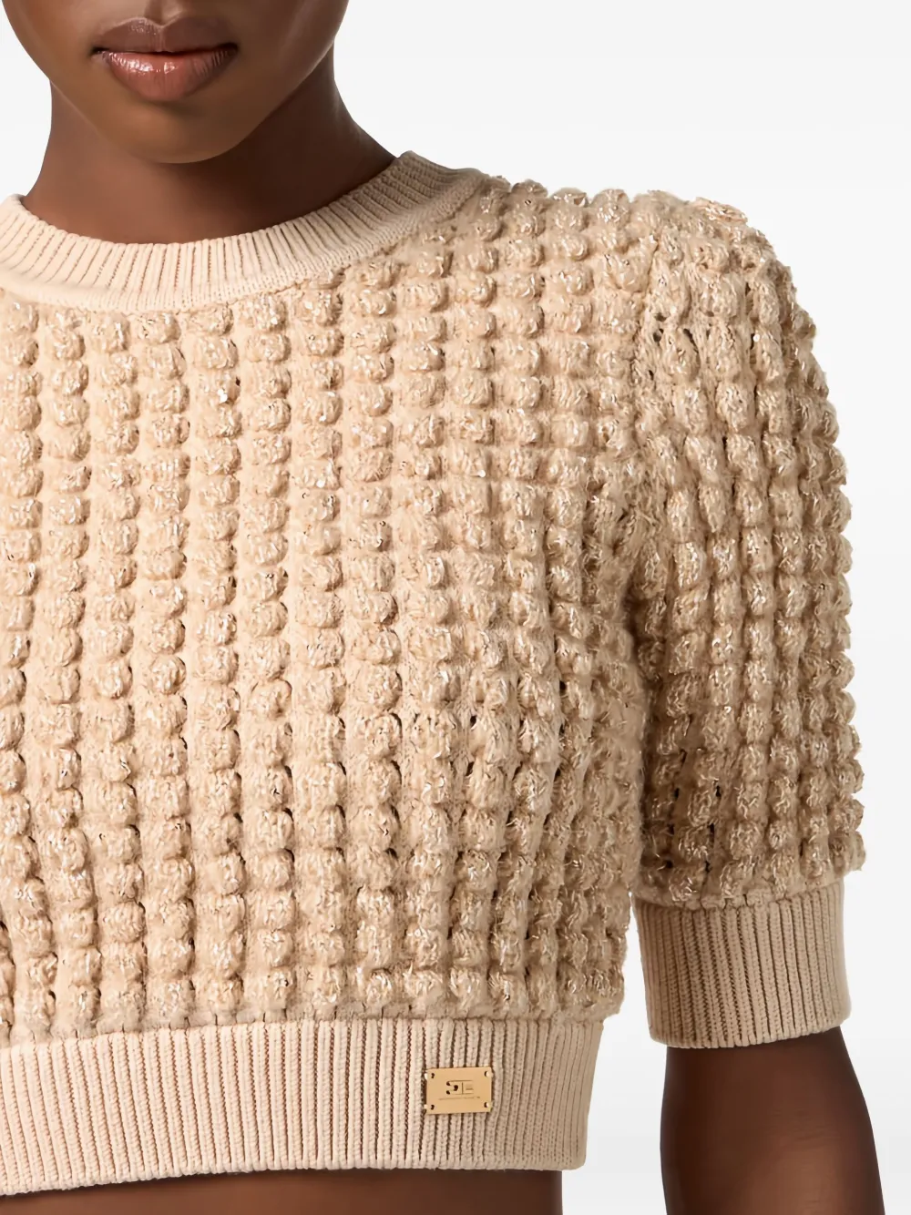 Elisabetta Franchi Cropped Knitted Top In Brown