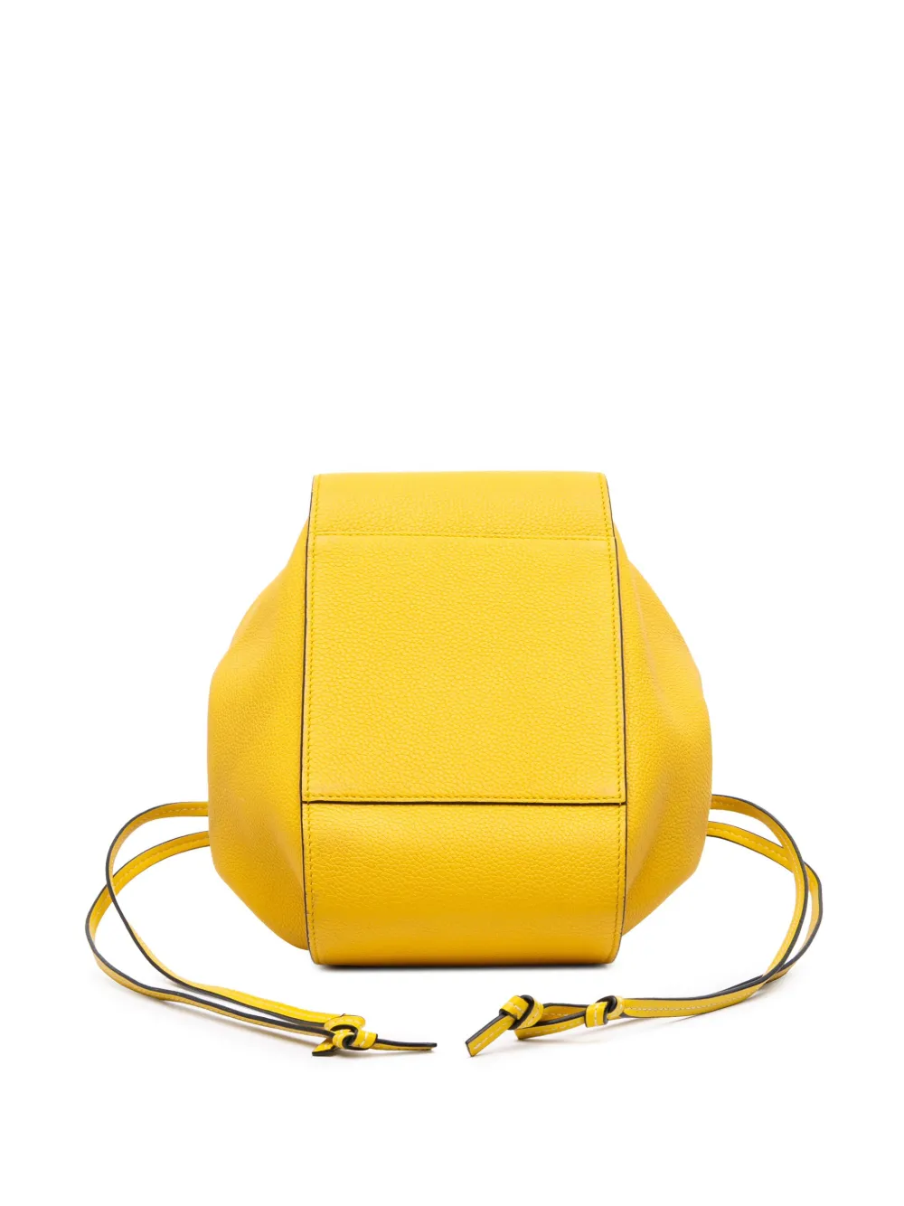 Pre-owned Loewe 2010-2025 Small Grained Calfskin Drawstring Hammock Satchel In Yellow