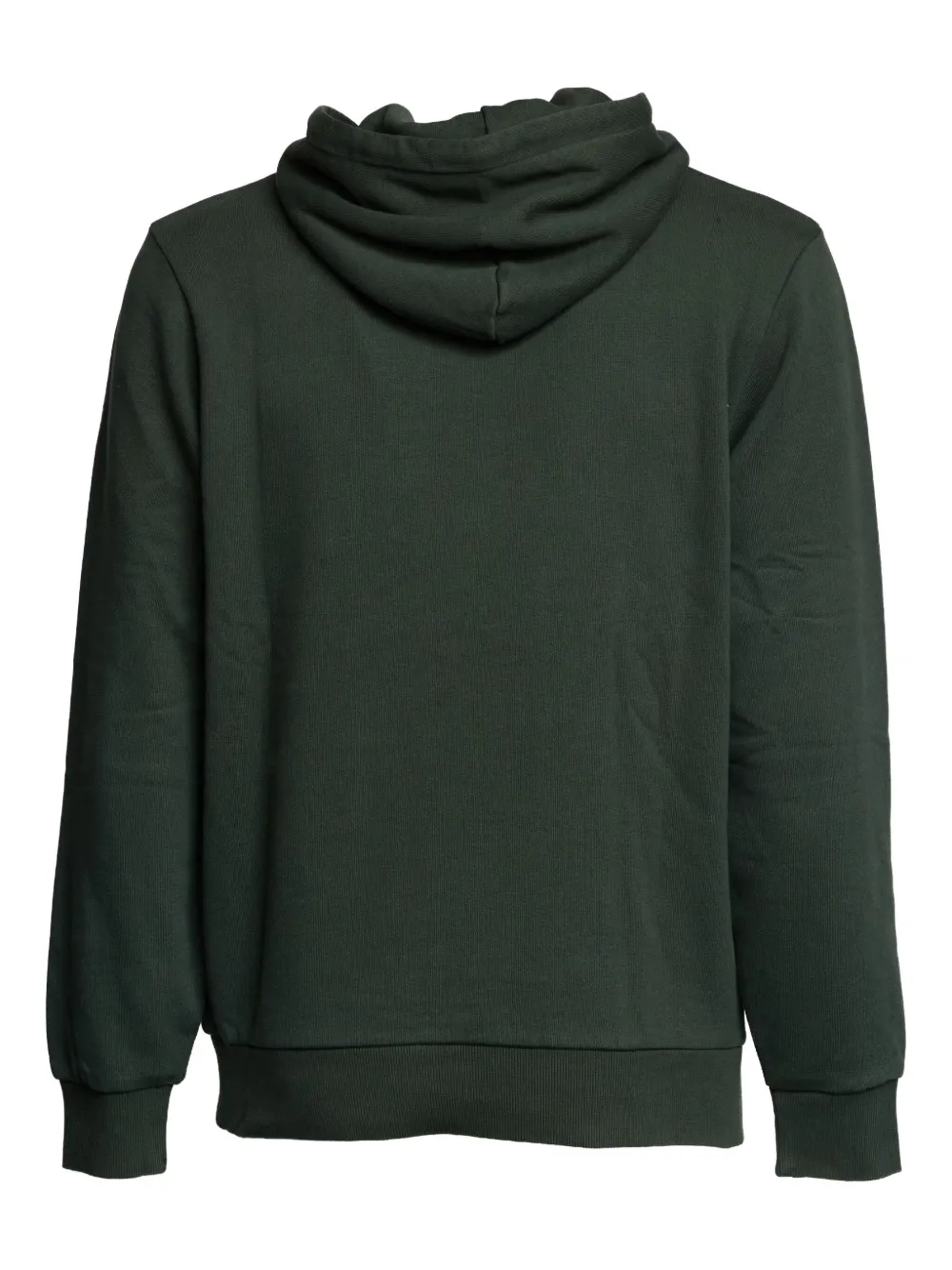 Carhartt WIP Sweater met capuchon en borduurwerk Groen