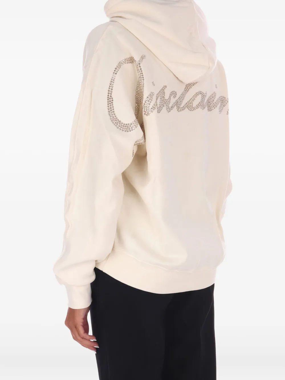 Disclaimer Long-sleeve Hoodie In Neutral