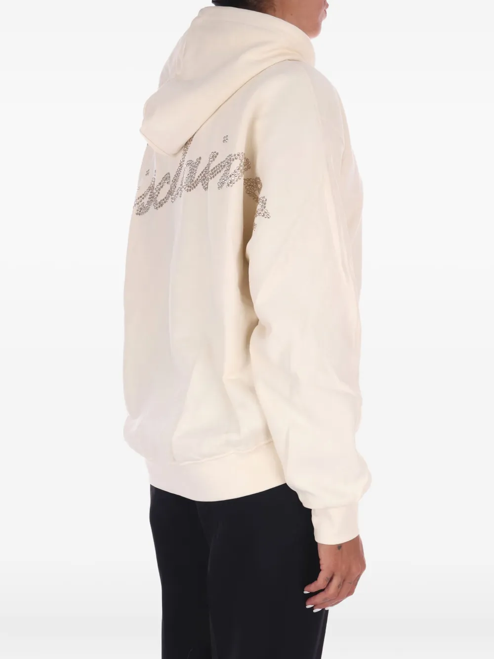 Disclaimer Long-sleeve Hoodie In Neutral