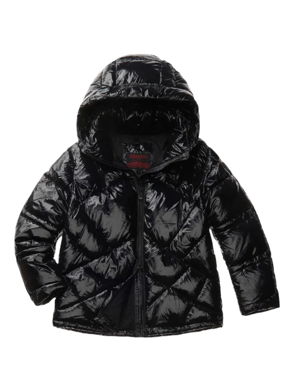 Blauer Lowney Hooded Quilted Jacket In Black