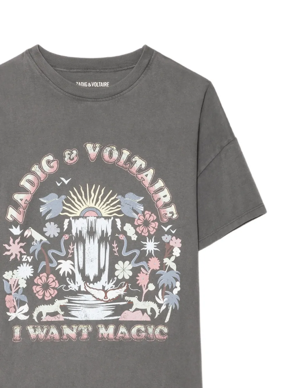 Zadig&Voltaire Jorja T-shirt met print Grijs