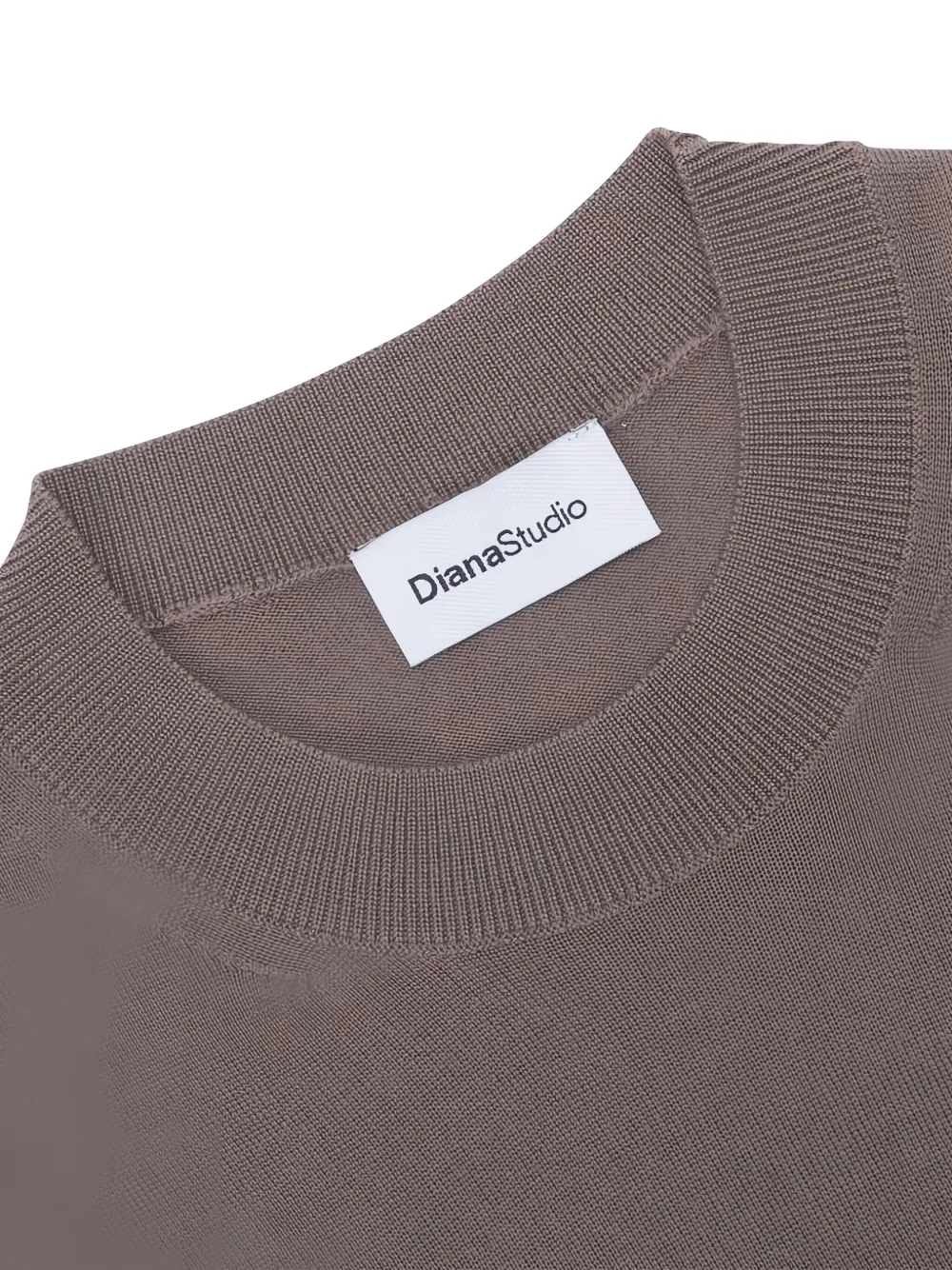  Diana Studio Crew-neck Long-sleeve Sweater - Brown 