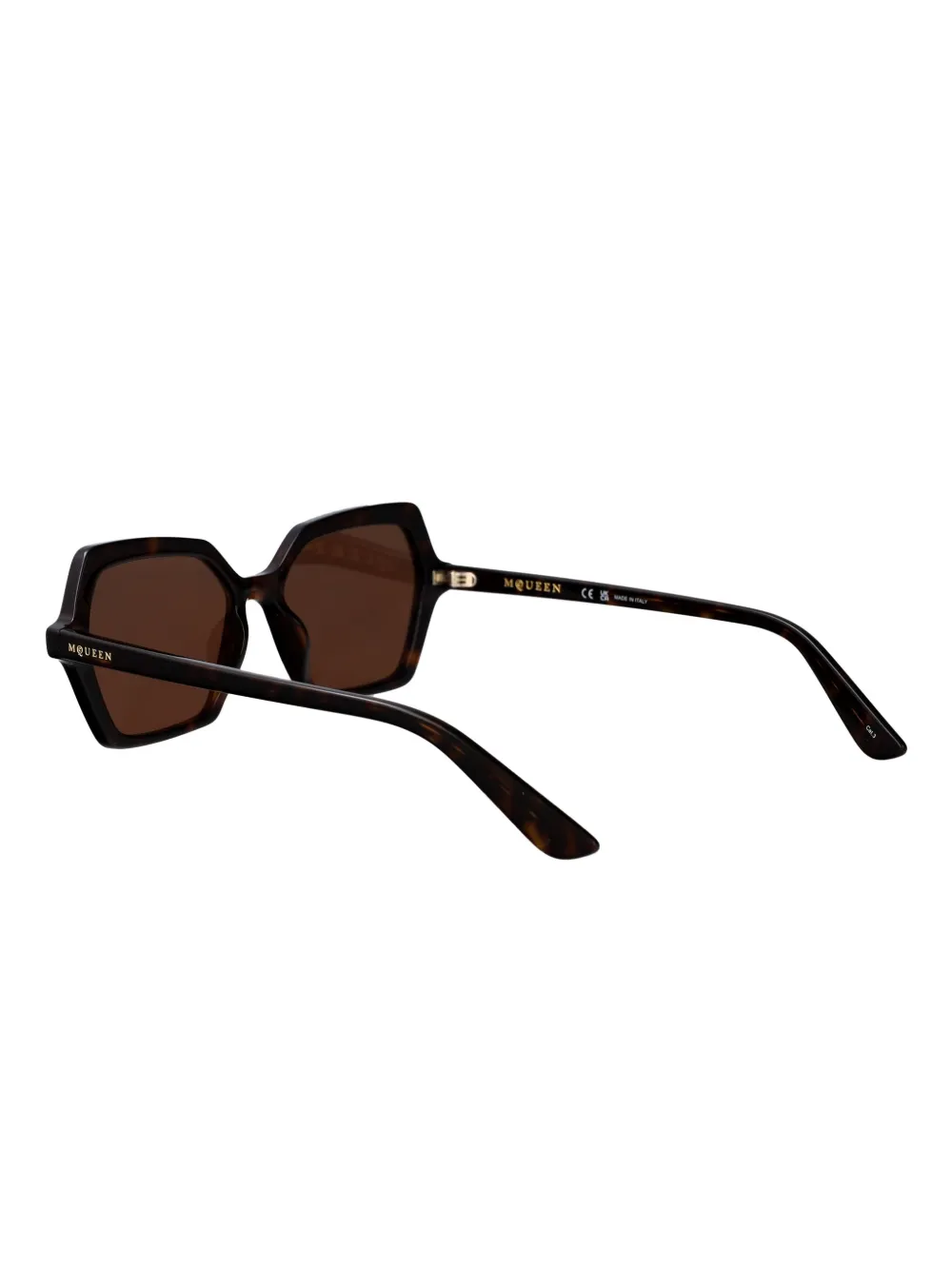 Alexander McQueen Eyewear AM0537S zonnebril met geometrisch montuur Bruin