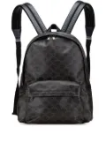 Celine Pre-Owned 2023 Medium Triomphe Coated Canvas backpack - Brown