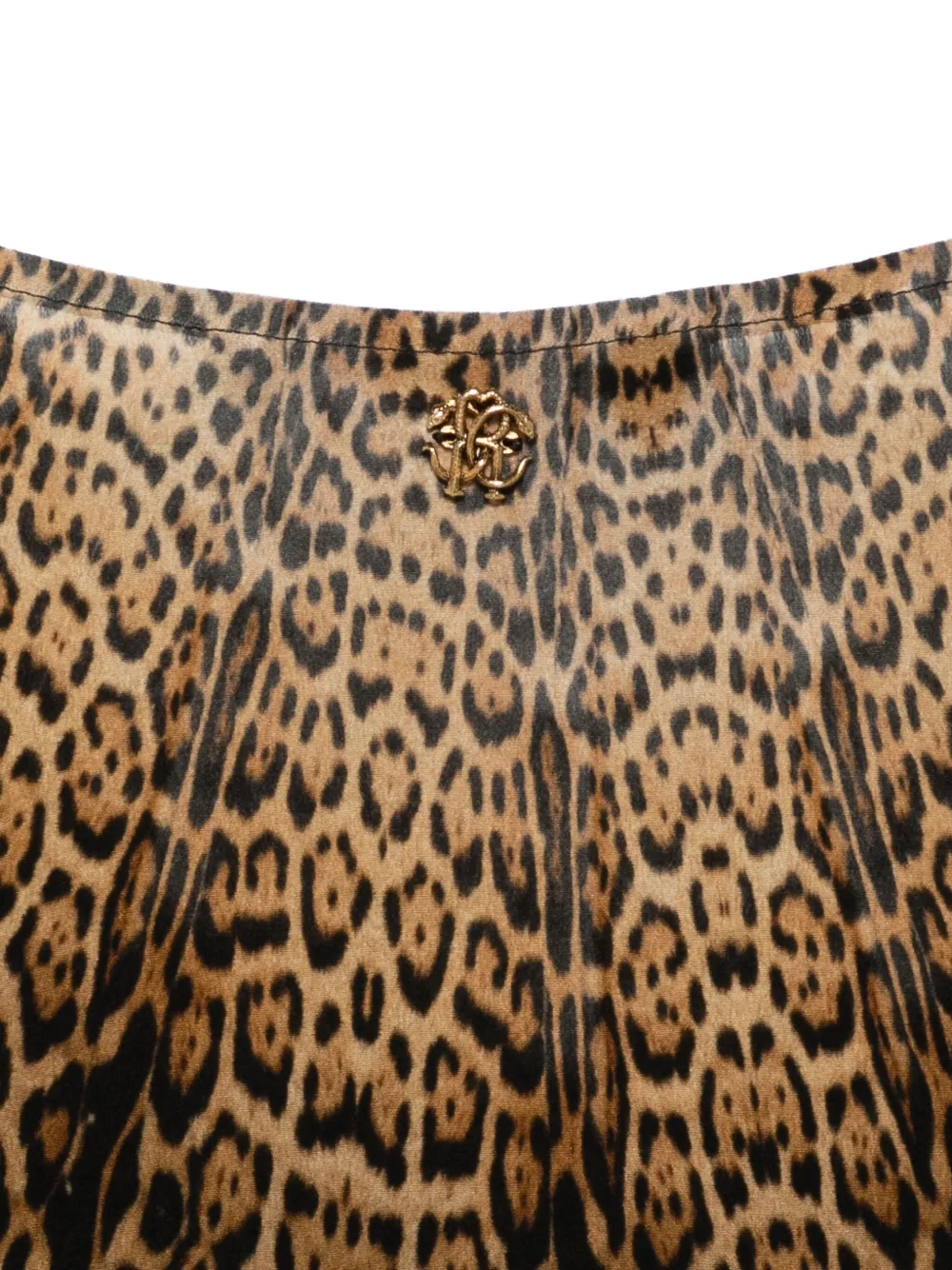 Roberto Cavalli Jurk met luipaardprint Bruin