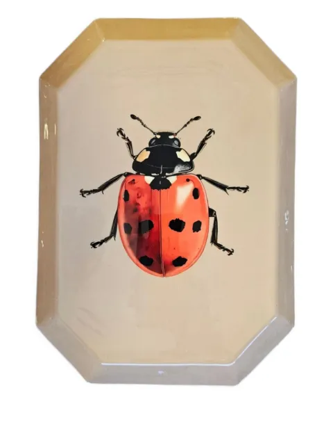 Les-Ottomans ladybug-print tray (26cm x 19cm)