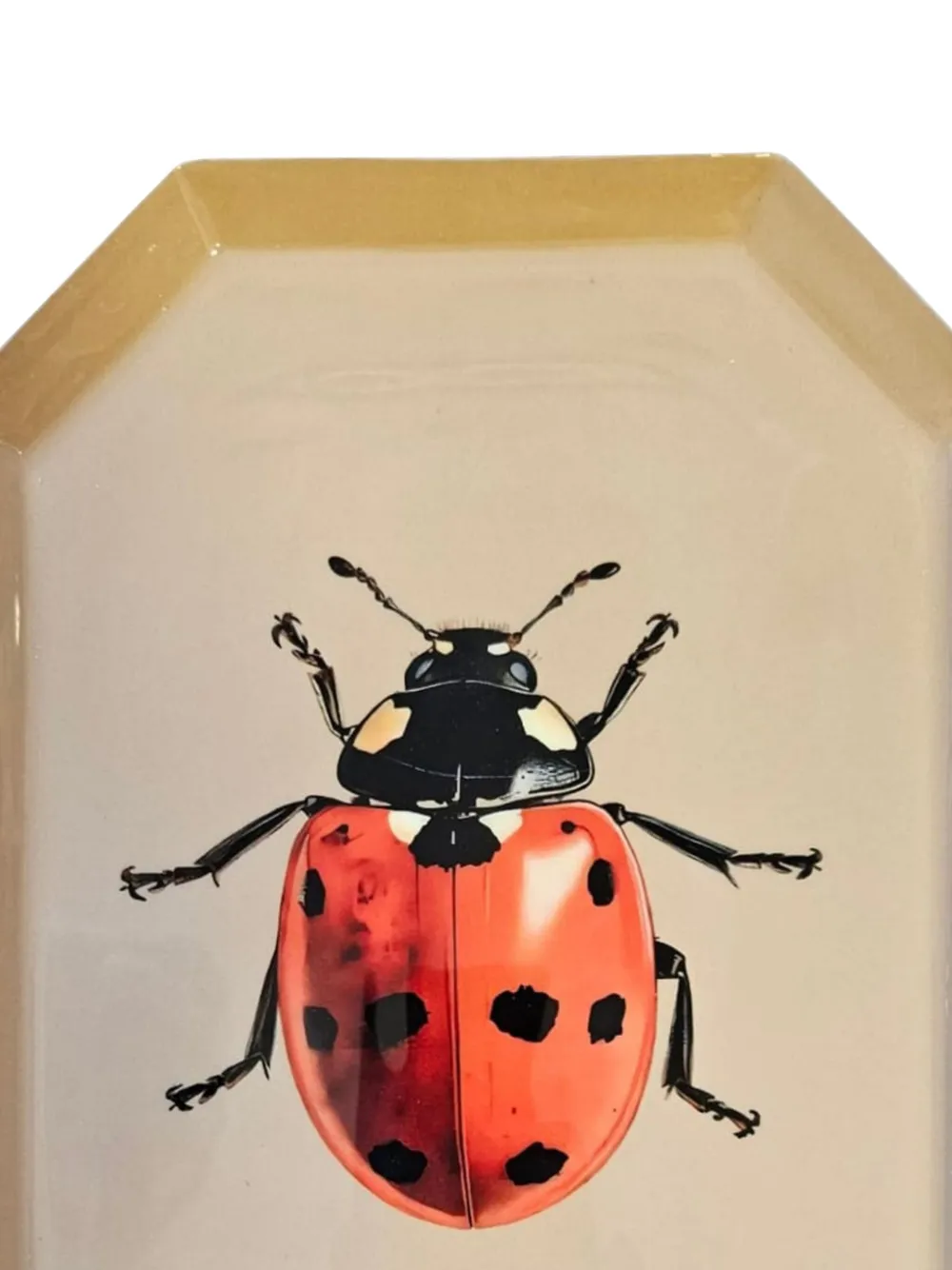 Les-Ottomans ladybug-print tray (26cm x 19cm) | Serveware | Image 2