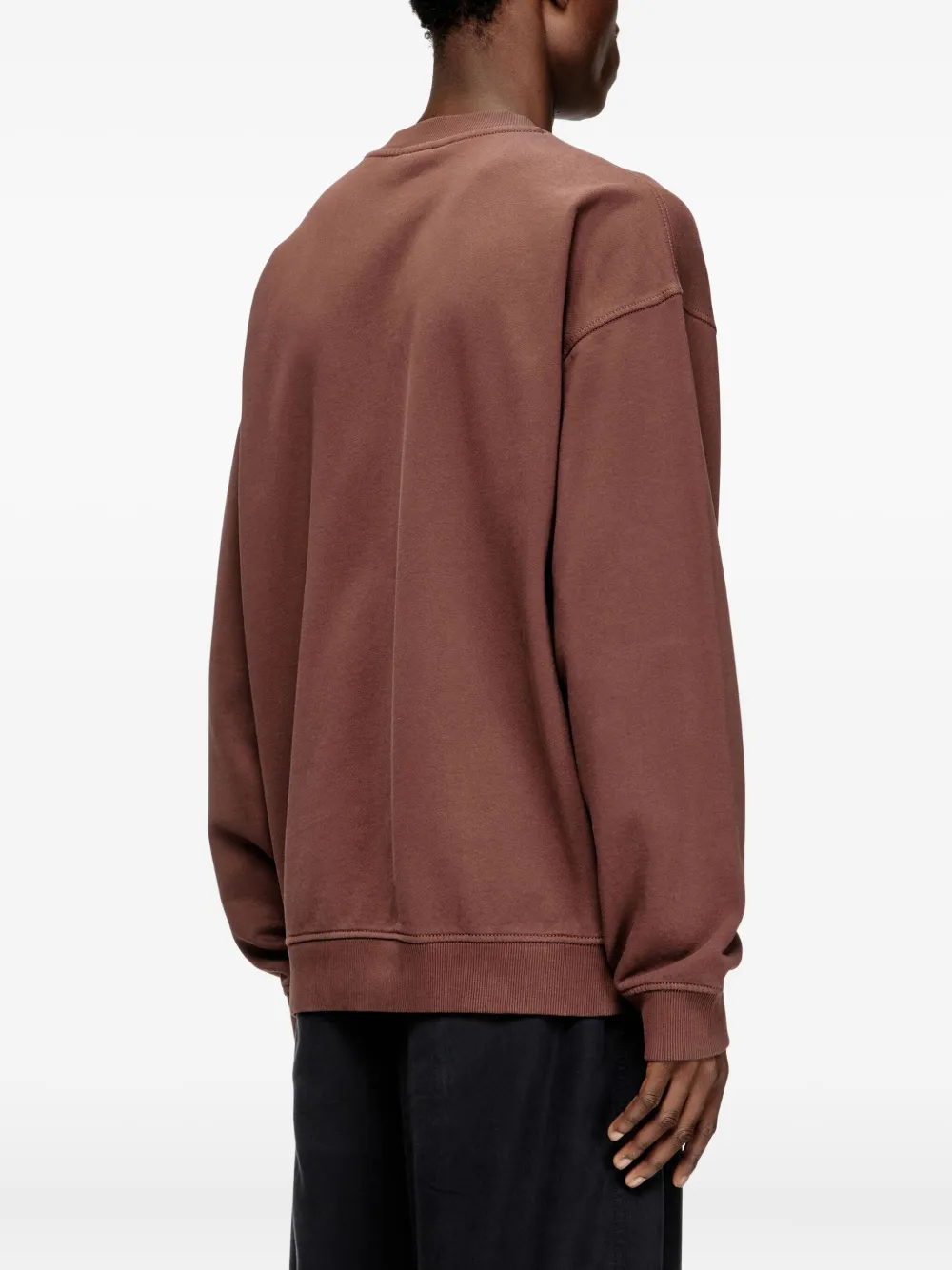 Diesel S-BOXT-N5 sweater Bruin