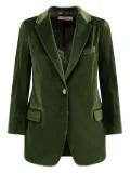 SAULINA Antonia velvet blazer - Green