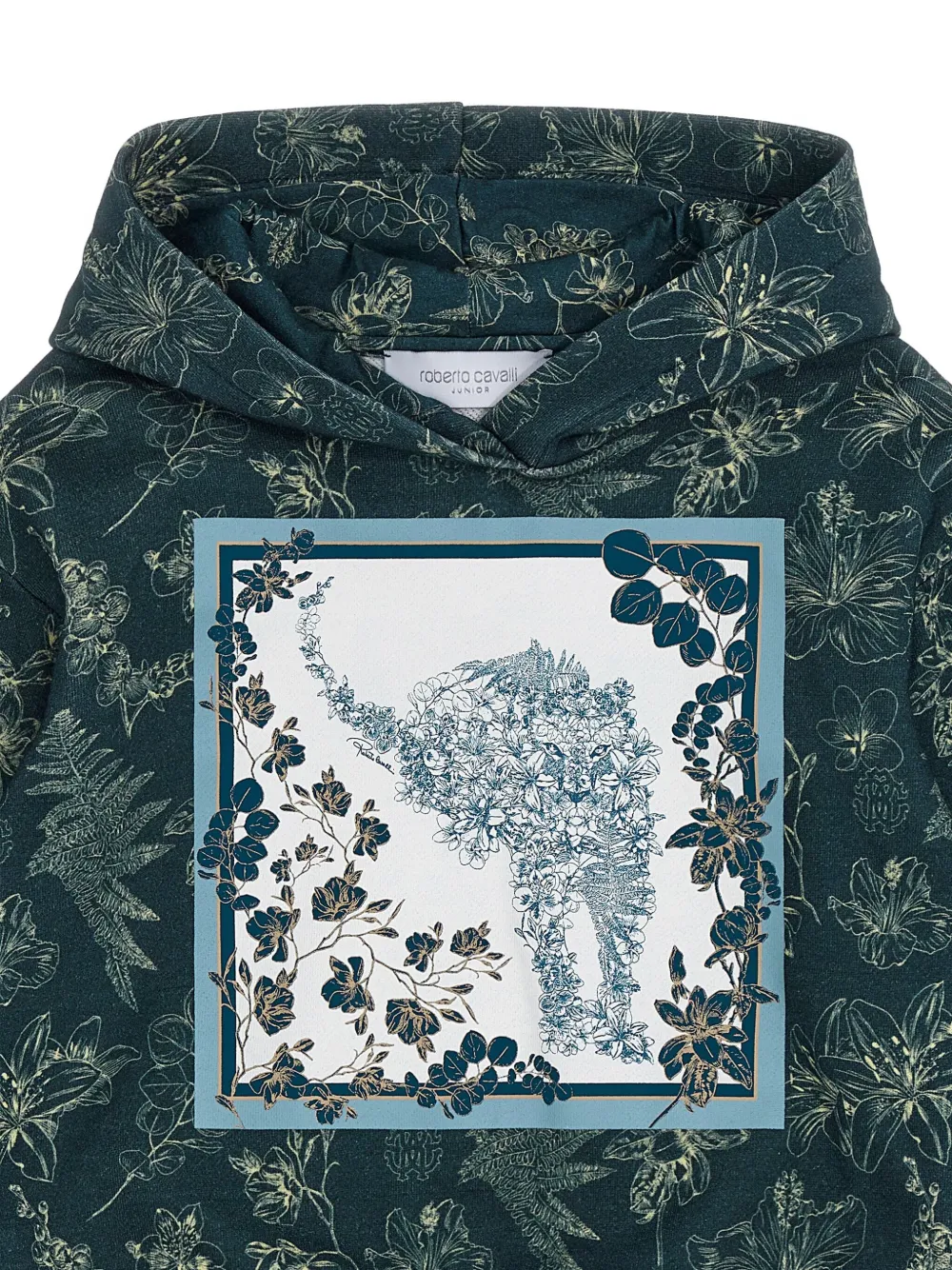 Roberto Cavalli Floral Print Hooded Sweatshirt In Multi