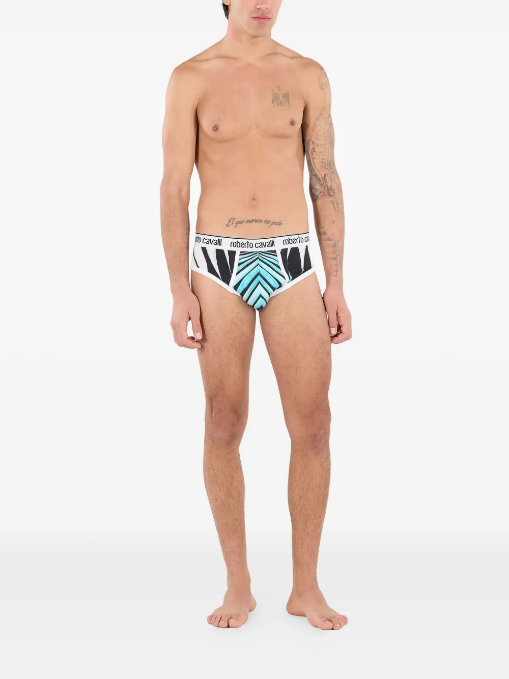 Roberto Cavalli Ray of Sea-print briefs | Image 2