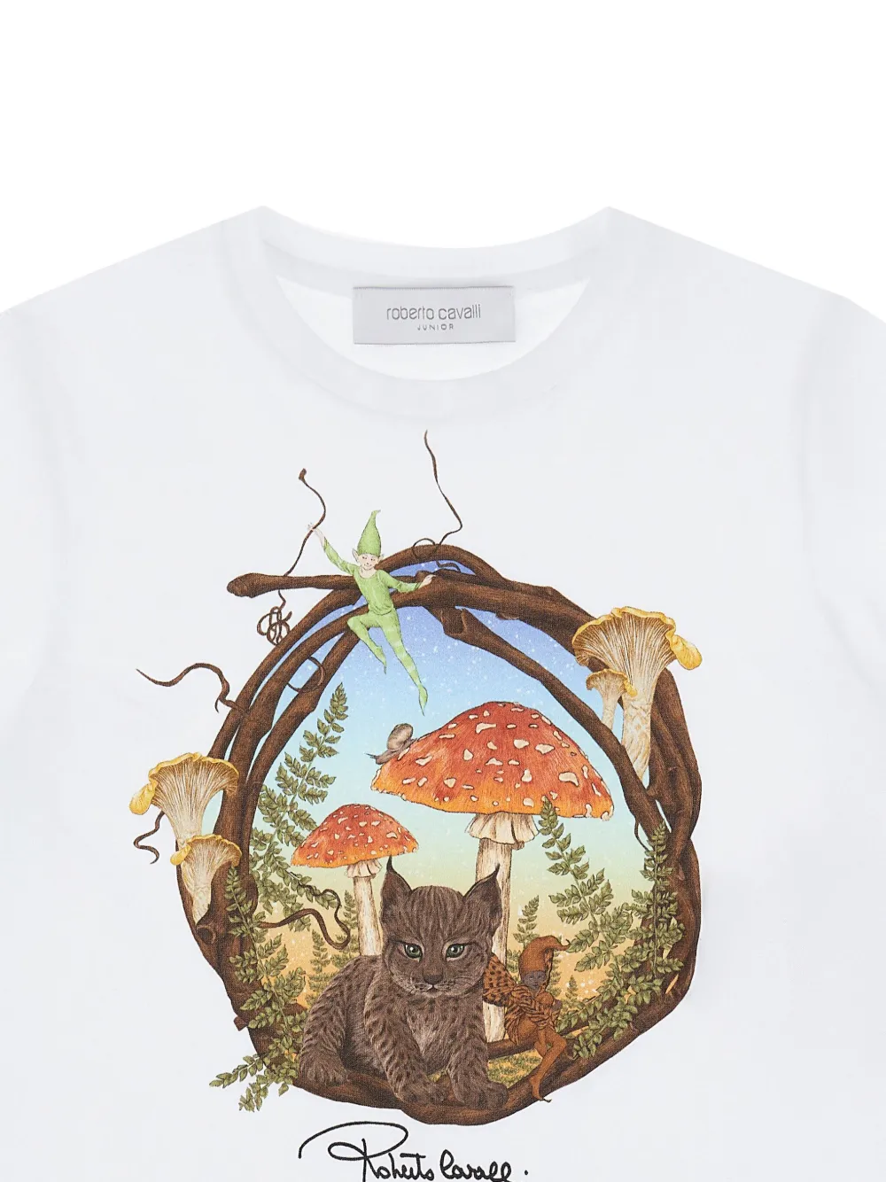 Roberto Cavalli T-shirt met grafische print Wit