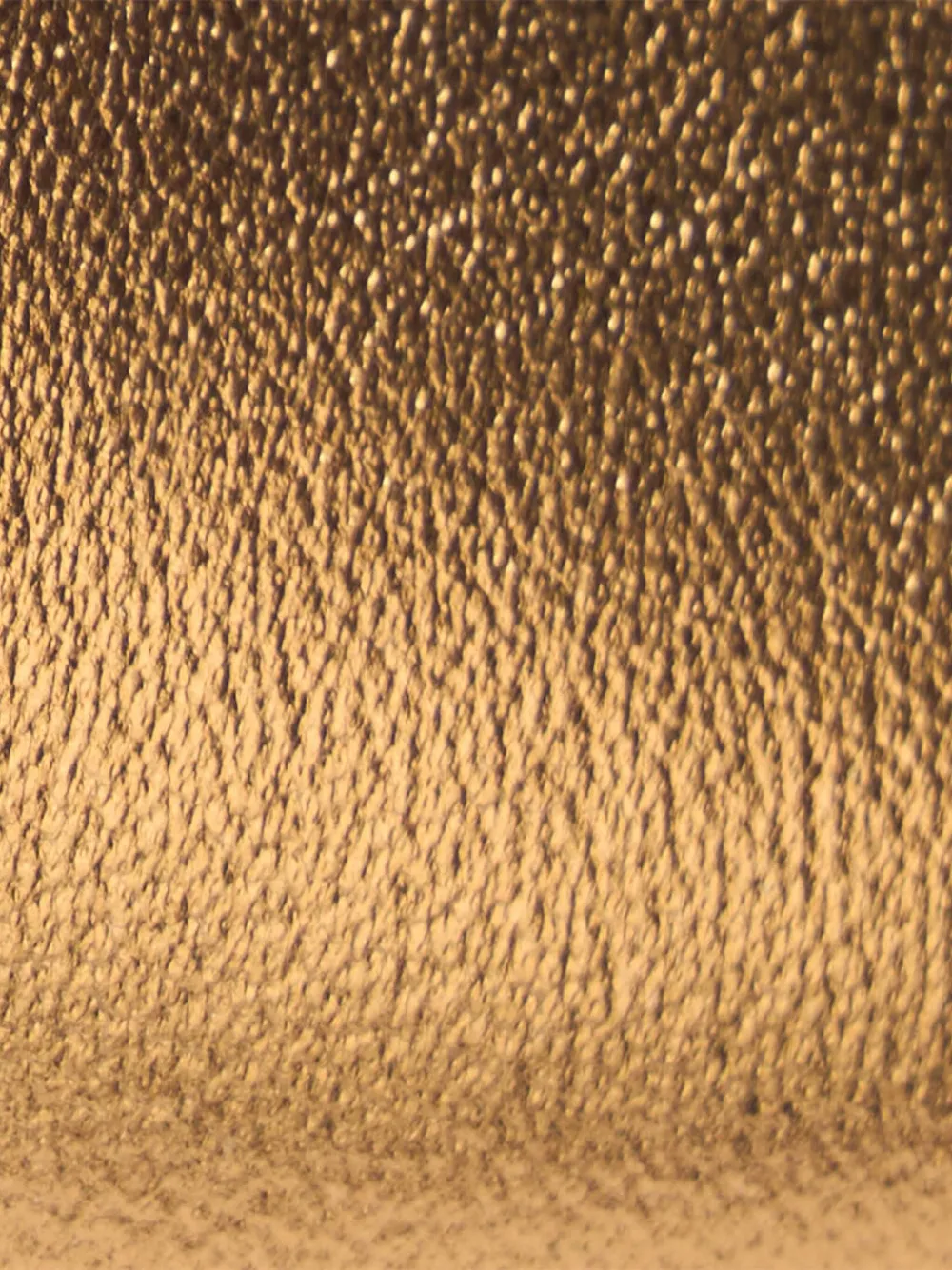 Roberto Cavalli Embossed Heeled Mules In Gold