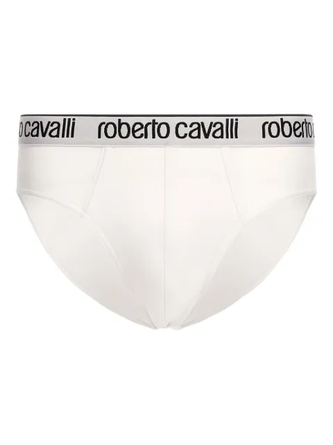 Roberto Cavalli logo briefs