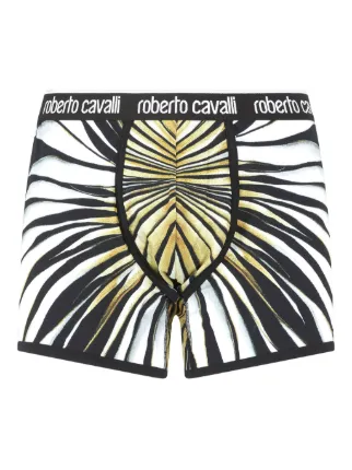 Roberto Cavalli