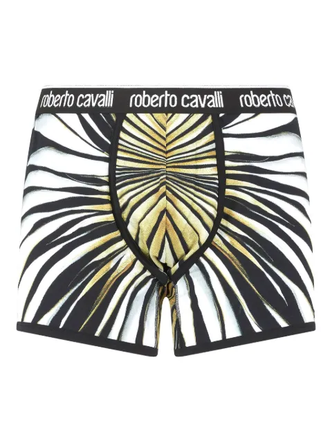 Roberto Cavalli print boxers
