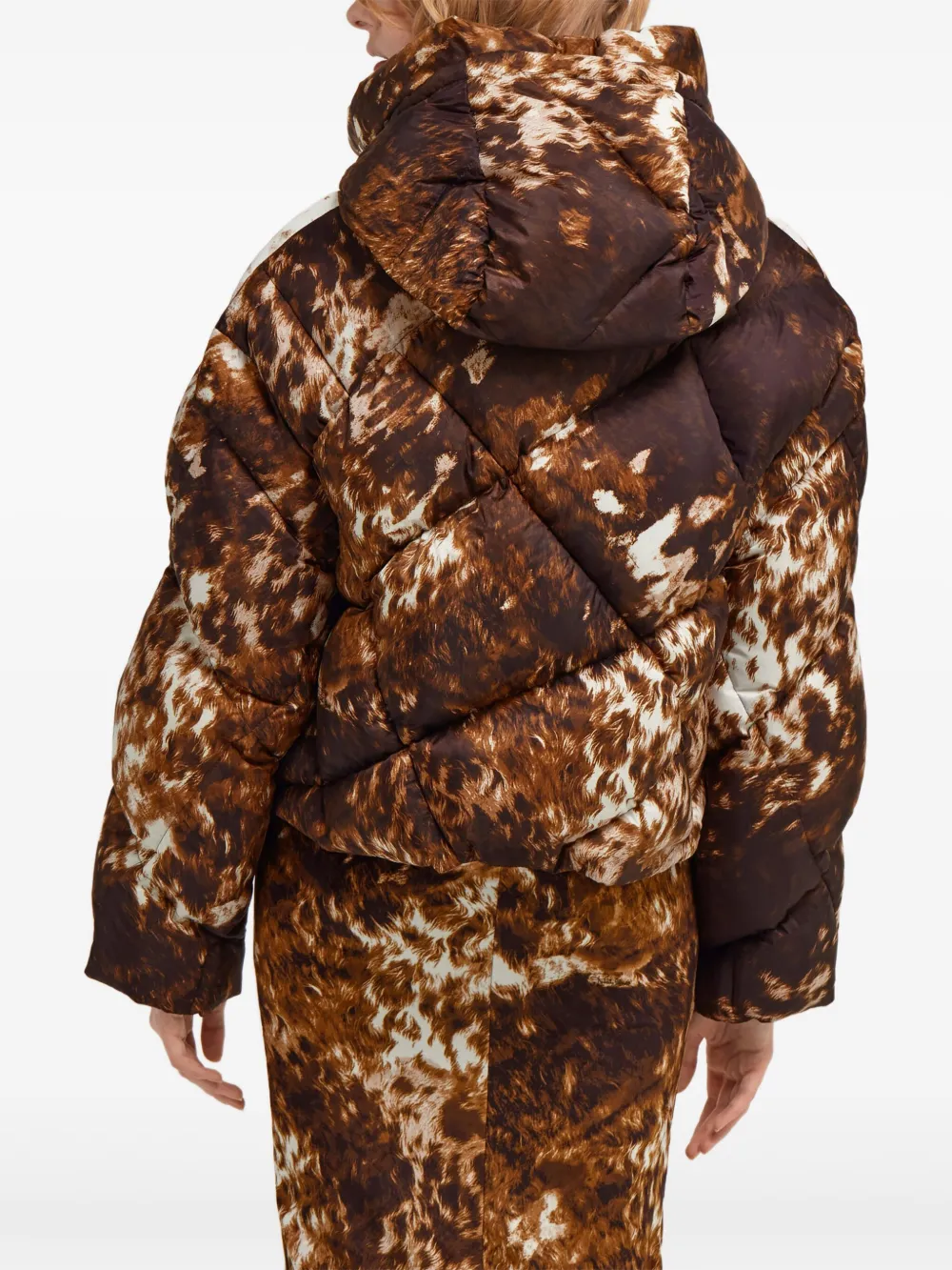 Roberto Cavalli Donsjack met appalosaprint Bruin