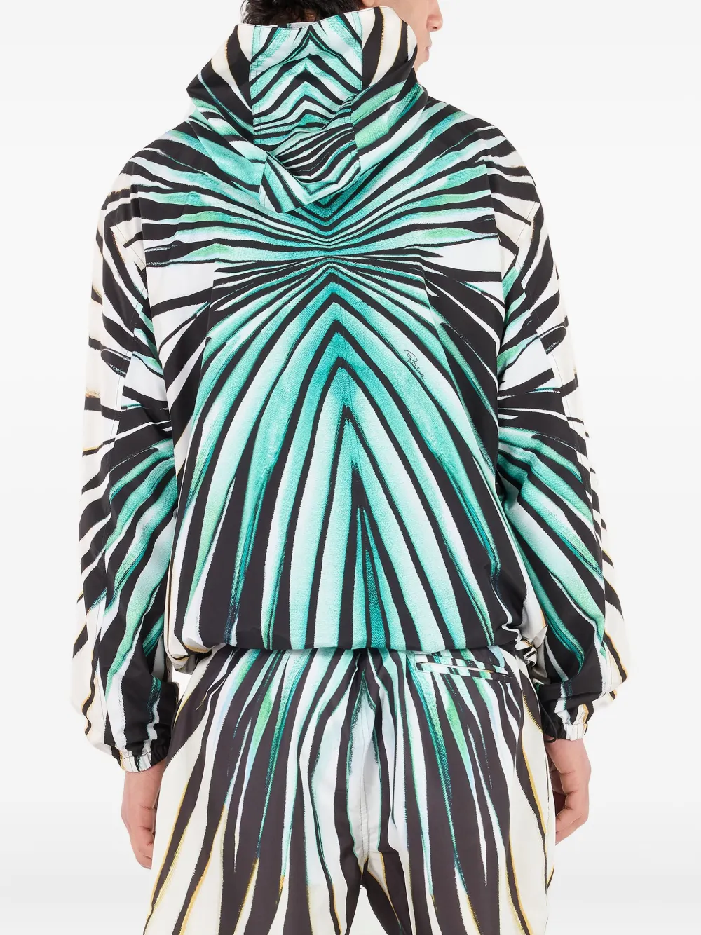 Roberto Cavalli Ray Of Sea-print Jacket In Multi