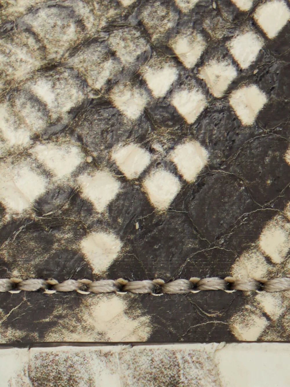Roberto Cavalli Fang Buckle Snakeskin Belt In Animal Print