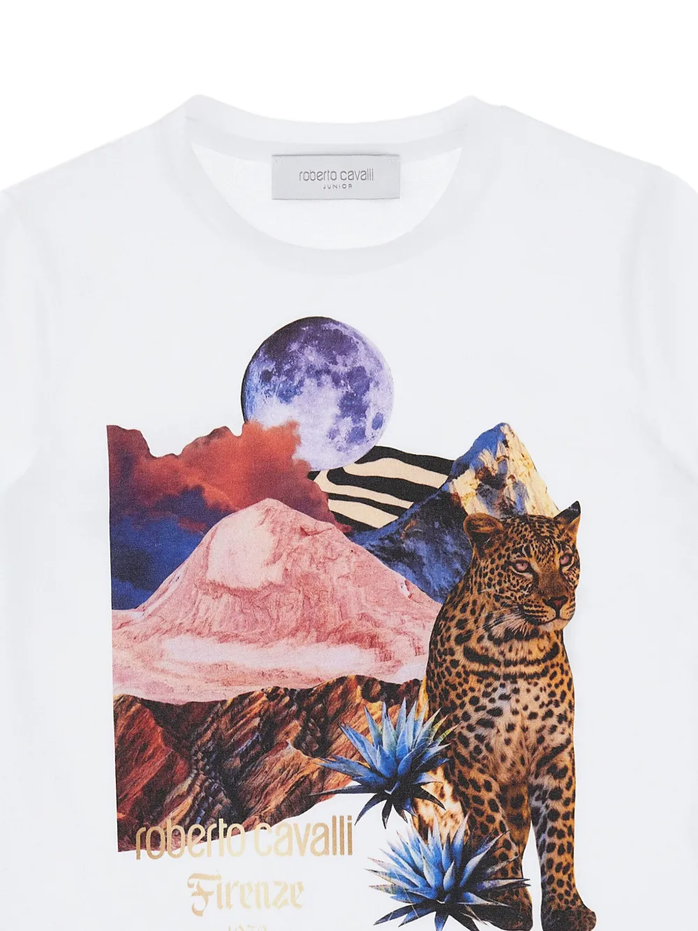 Roberto Cavalli T-shirt met grafische print Wit