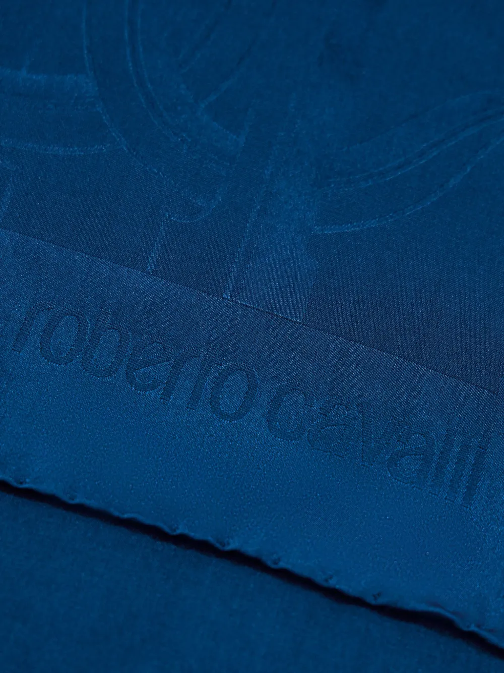 Roberto Cavalli Sjaal met jacquard - Blauw
