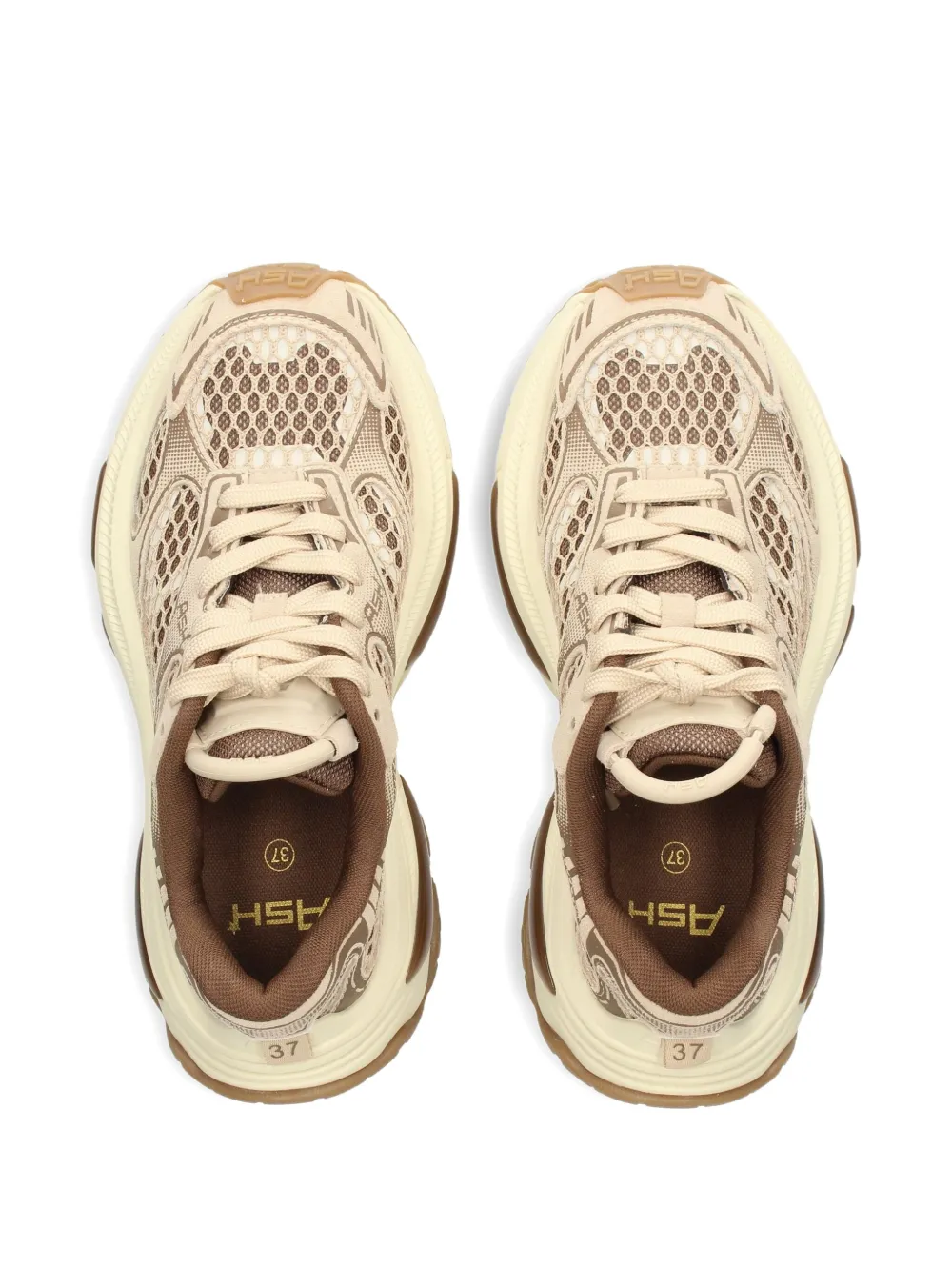 Ash Dragon chunky sneakers Bruin