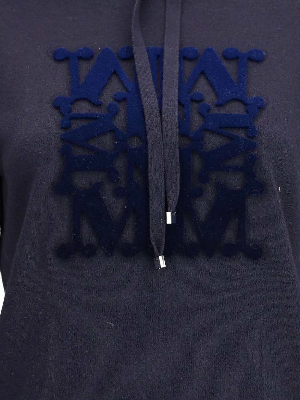 Max Mara Taddeos Hoodie In Wool In Blue