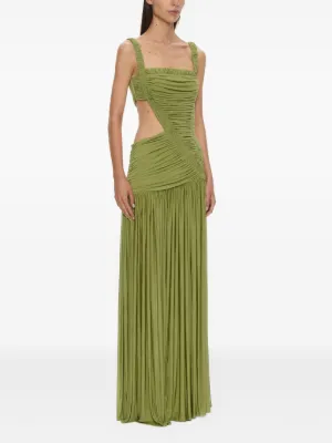 Salacia top