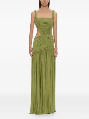 Salacia top