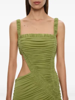 Salacia top