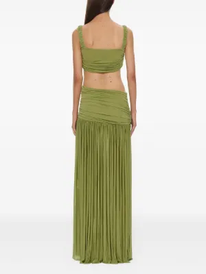 Salacia top