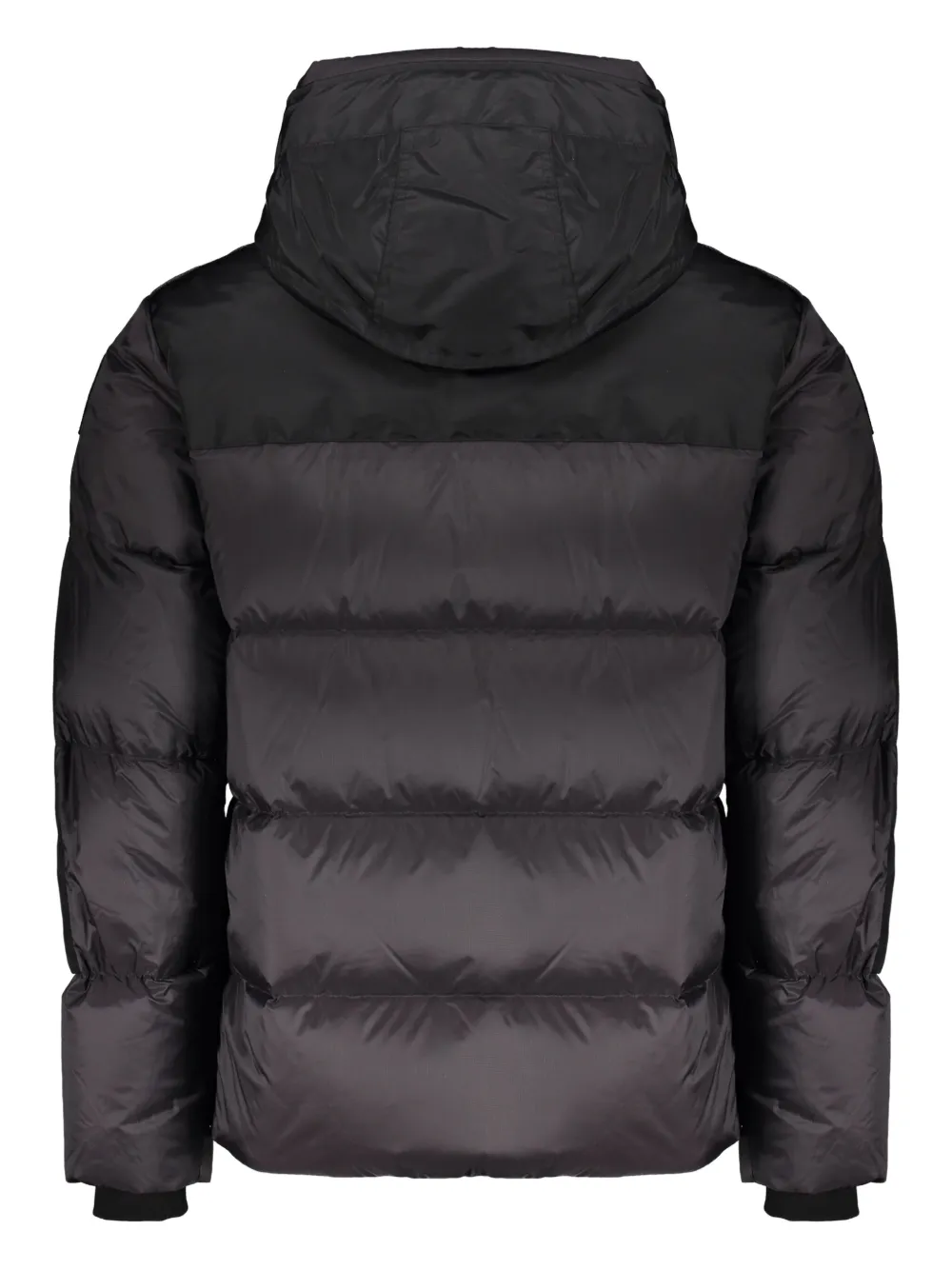 Parajumpers hooded puffer jacket | Hooded Jackets | Image 2