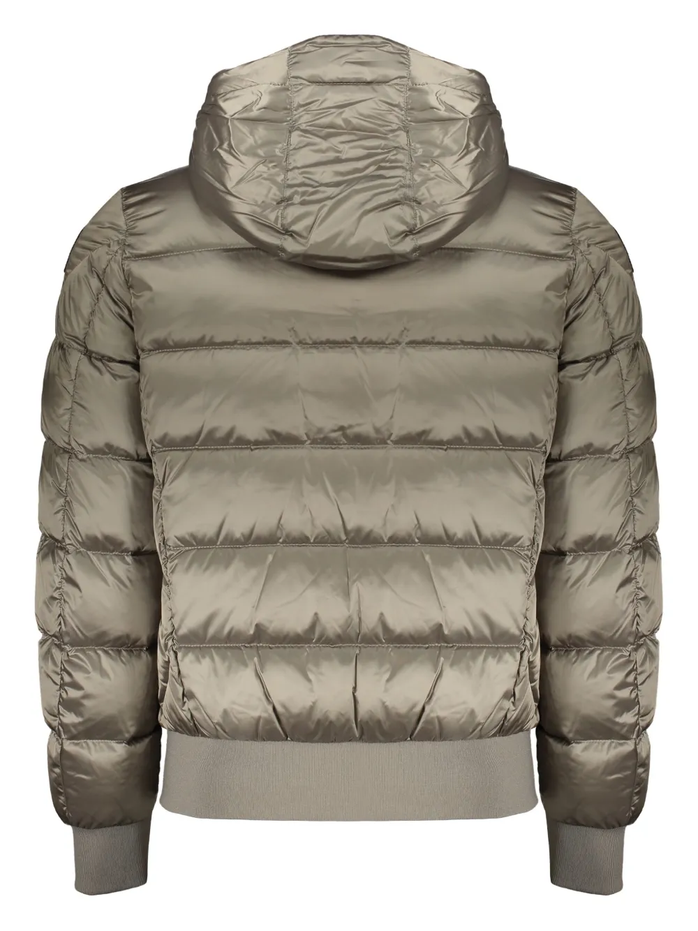 Parajumpers Down Jacket With Hood In Gray