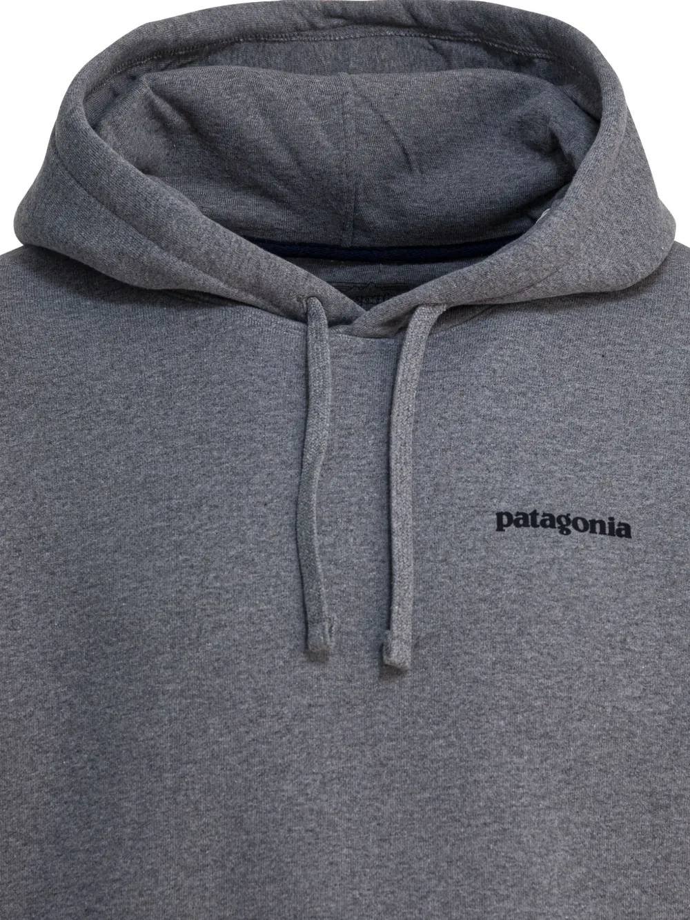 Patagonia Hoodie met print Grijs
