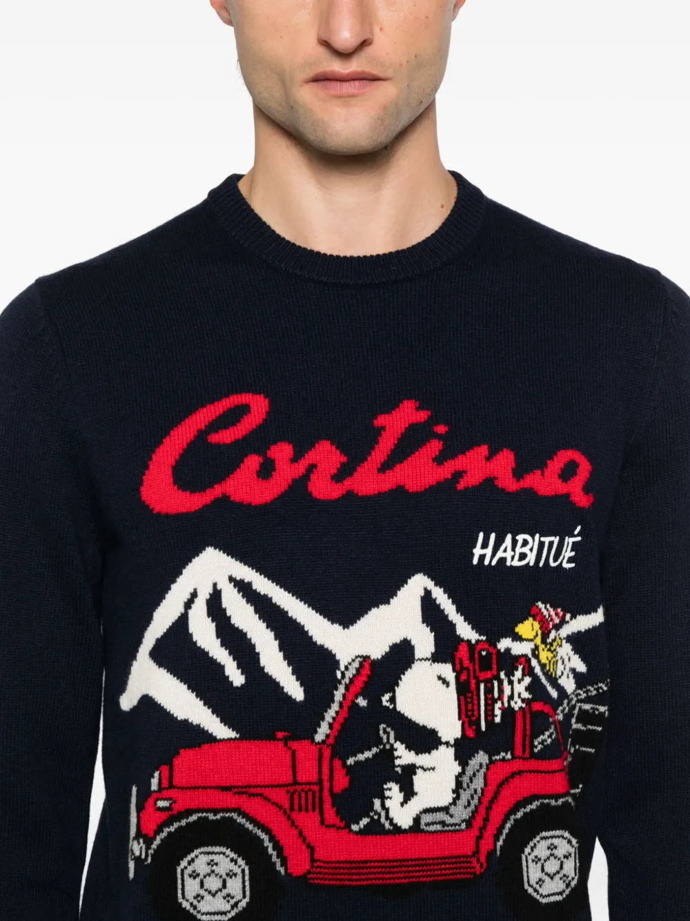 Mc2 Saint Barth Heron Jumper In Blue