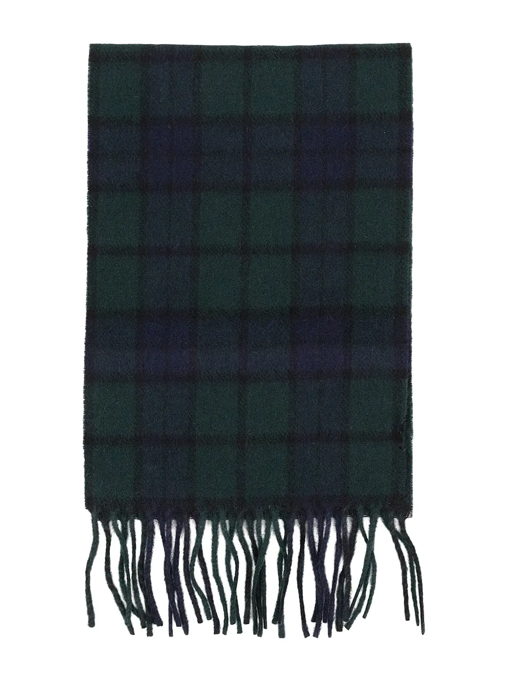 Aimé Leon Dore plaid fringed scarf | Women | Image 2