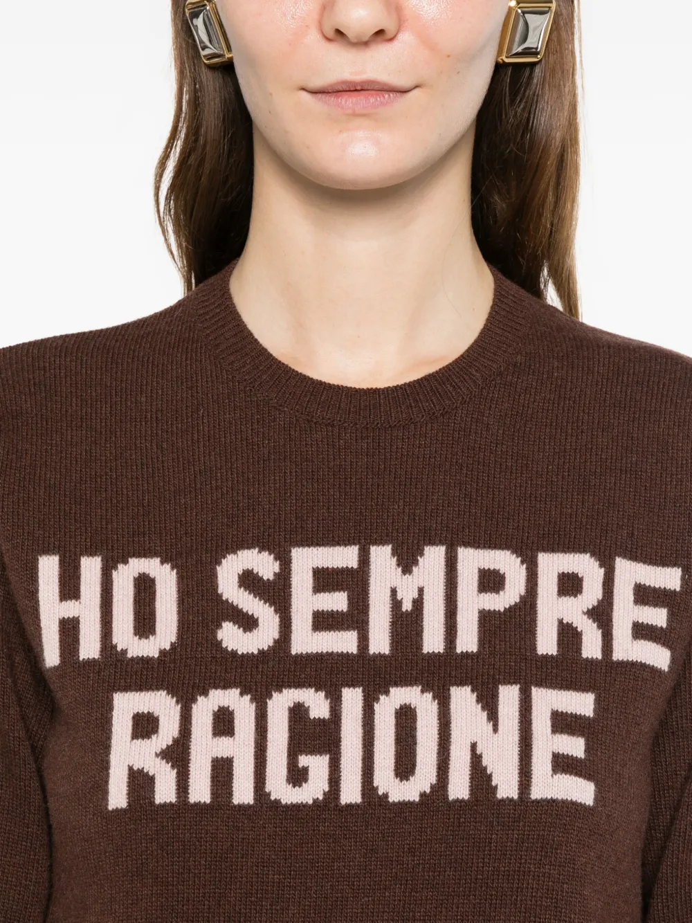 Mc2 Saint Barth Sempre Ragione Sweater In Brown