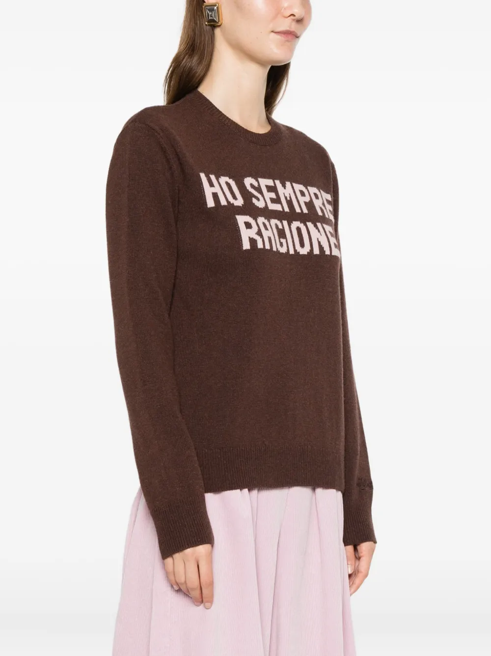 Mc2 Saint Barth Sempre Ragione Sweater In Brown
