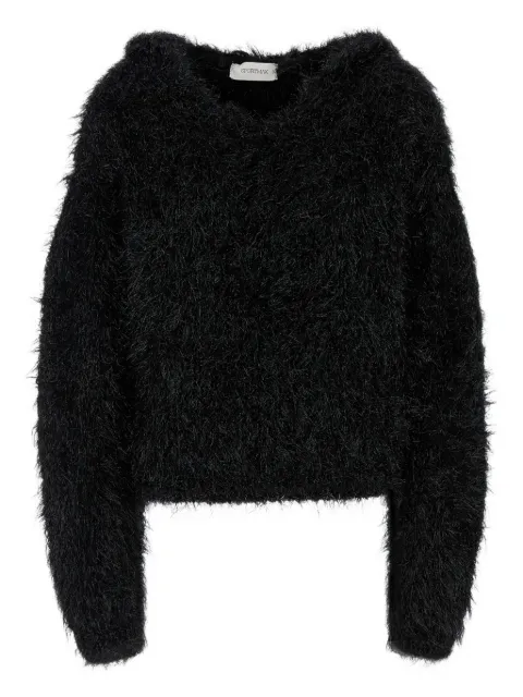 Sportmax long-sleeve V-neck sweater