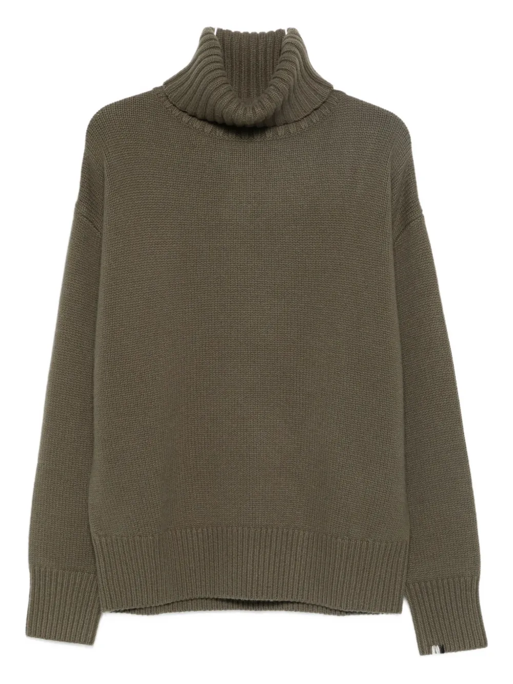 Extreme Cashmere Roll-neck Cashmere Jumper In Green