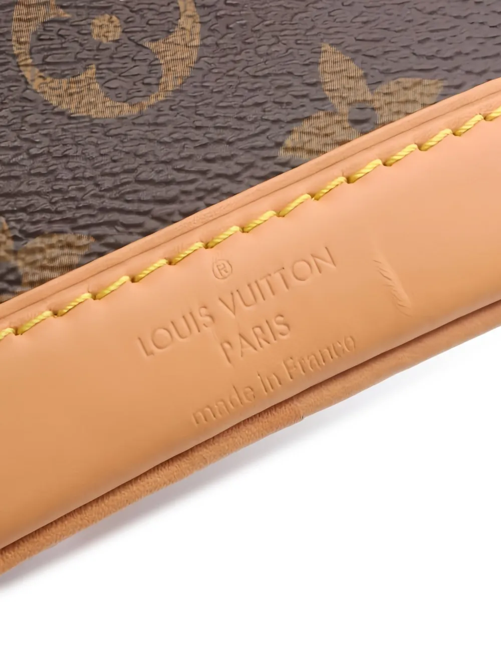 Louis Vuitton Pre-Owned 2021 Nano Noe met monogram Bruin