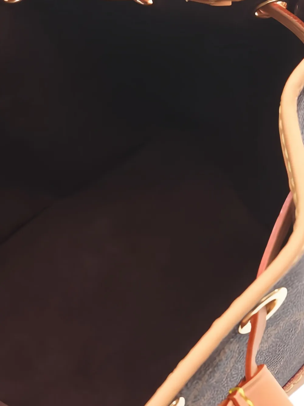 Louis Vuitton Pre-Owned 2021 Nano Noe met monogram Bruin