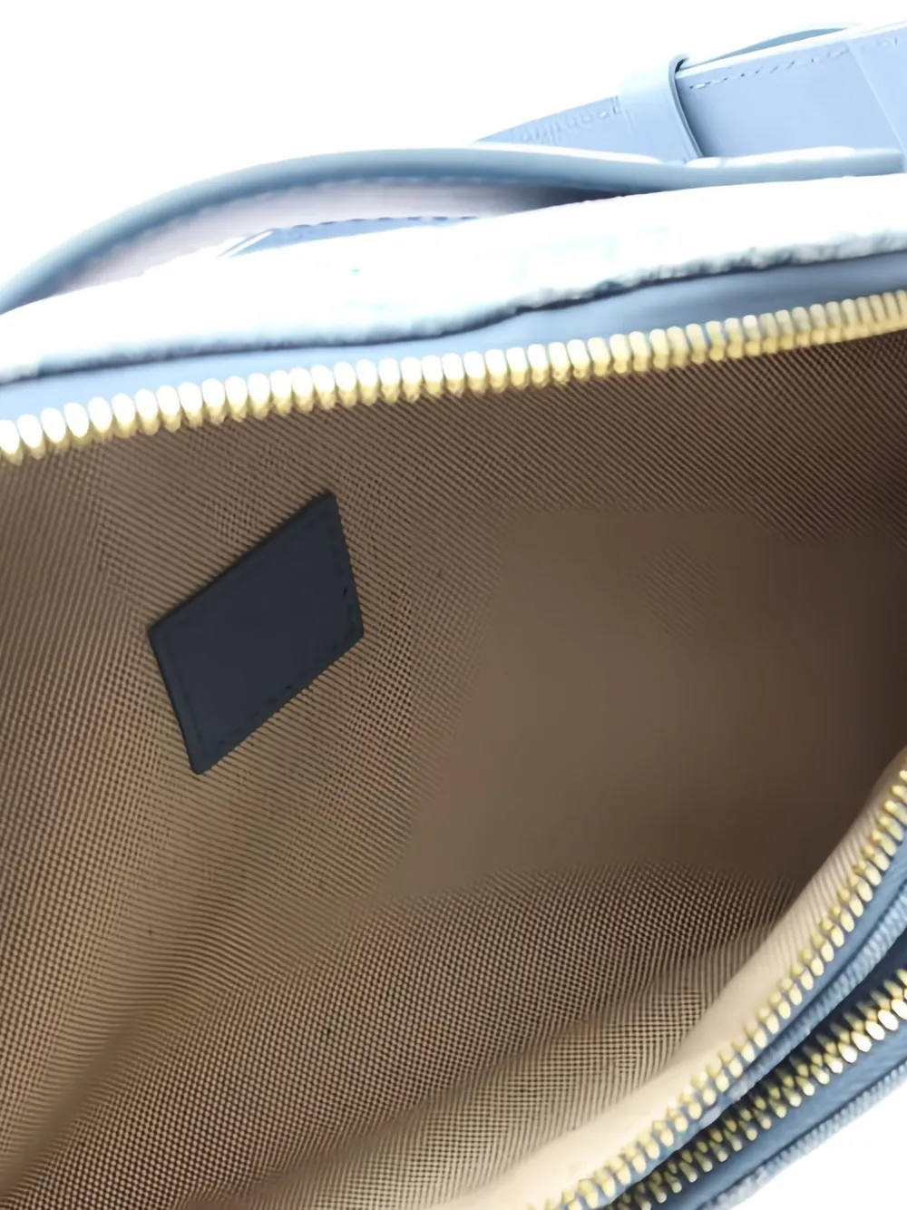 Louis Vuitton Pre-Owned 2021 Damier heuptas Blauw