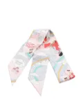 Hermès Pre-Owned 2010s printed ribbon scarf - Grey