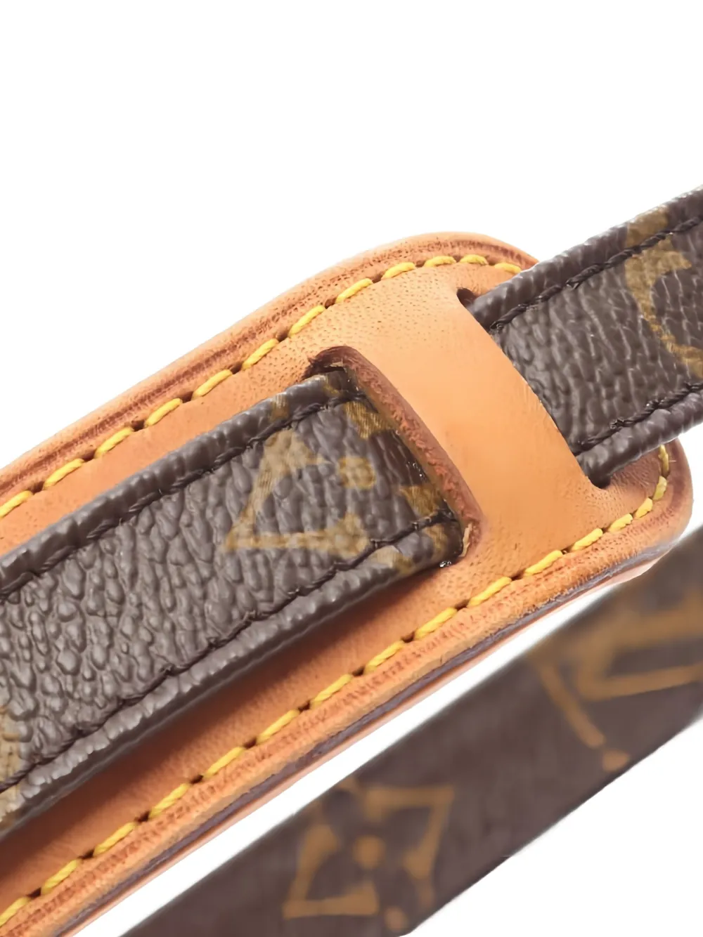 Pre-owned Louis Vuitton 2003 Monogram Amazon Shoulder Bag In Brown