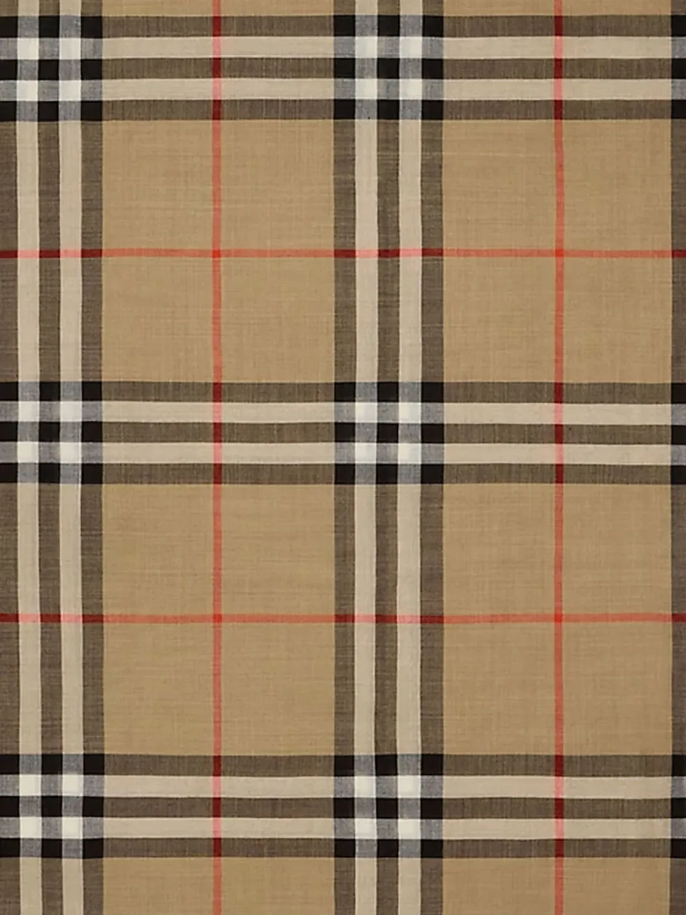Burberry Vintage Check frayed-edge scarf | Men | Image 2