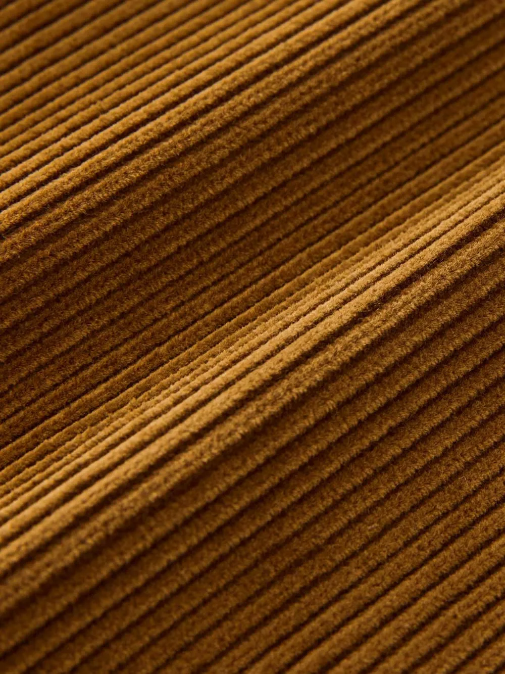 Studio Nicholson x BEAMS Plus katoenen broek Bruin