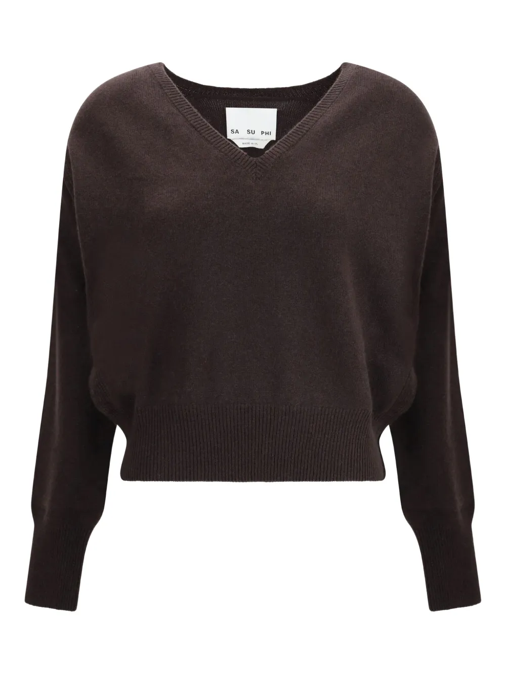 Sa Su Phi Lavinia V Neck Cashmere Sweater In Brown